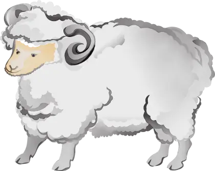 Fluffy White Sheep Clipart