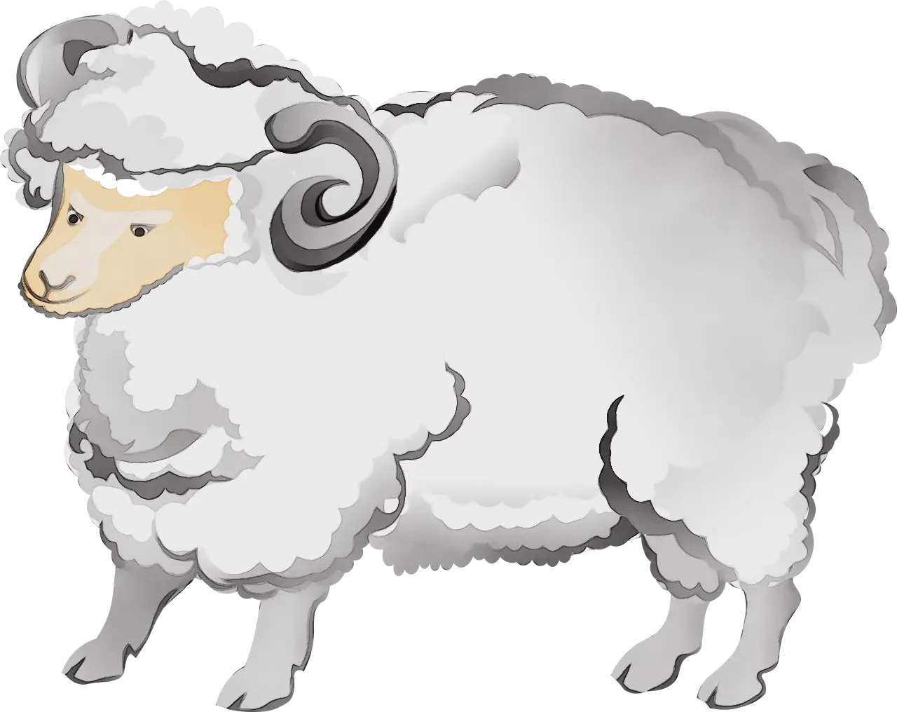 Fluffy White Sheep Clipart