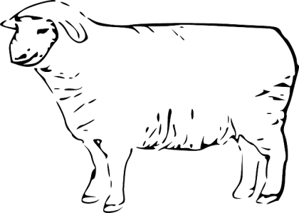Simple Sheep Drawing