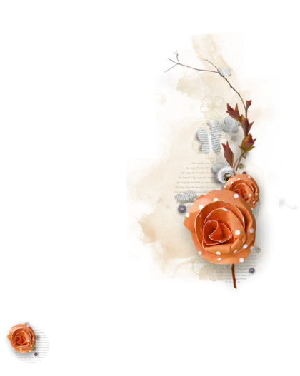 Orange Rose with Decorative Elements
