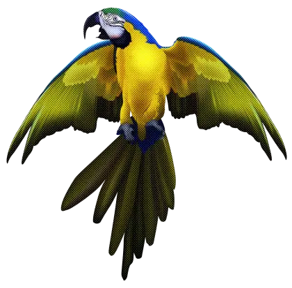 Blue and Yellow Macaw Illustration