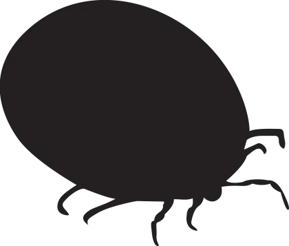 Tick Silhouette in Simple Black Design