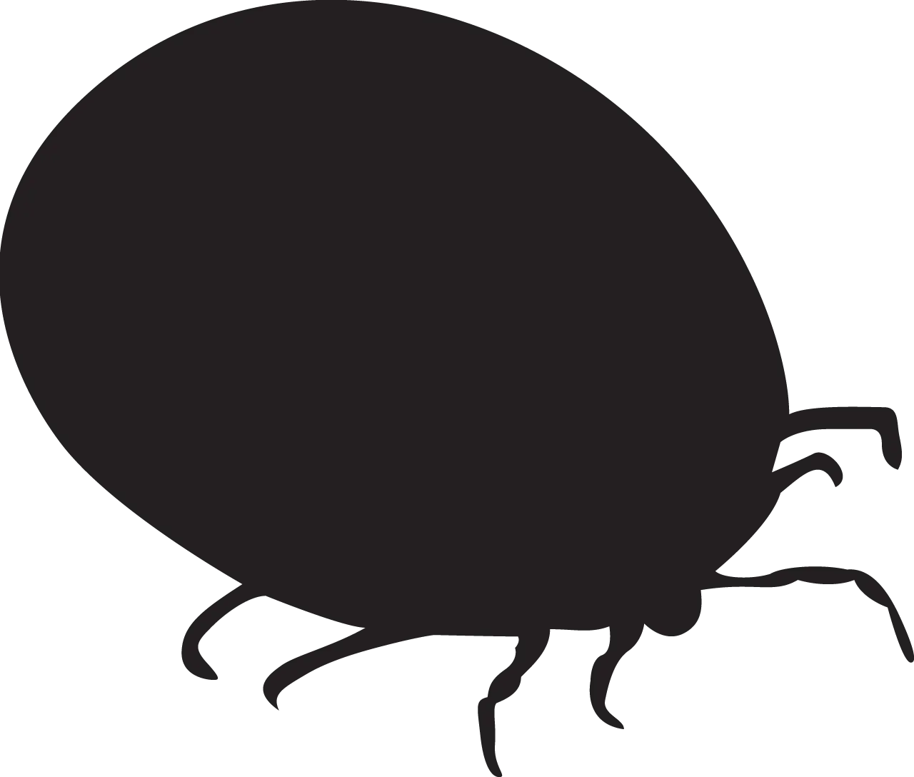 Tick Silhouette in Simple Black Design