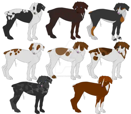 Various Cartoon Dog Illustrations