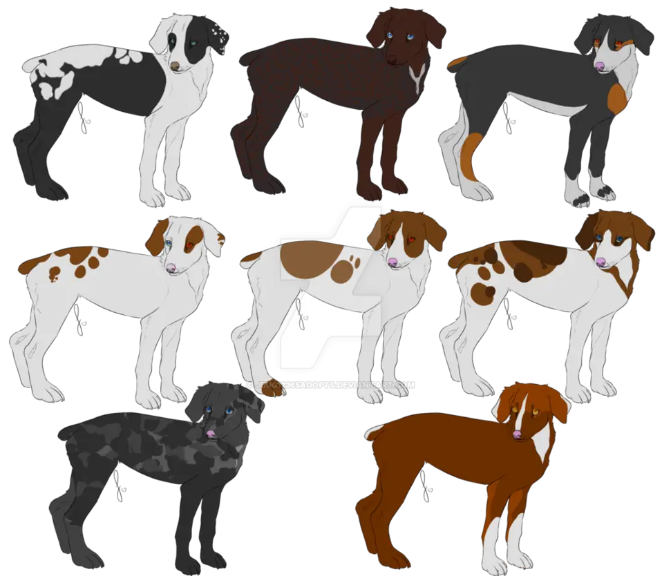 Various Cartoon Dog Illustrations