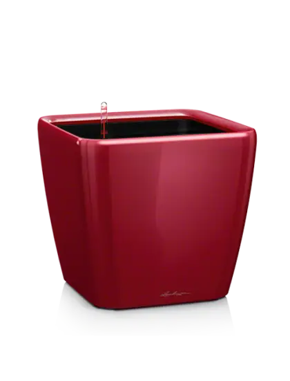 Red Glossy Planter Pot