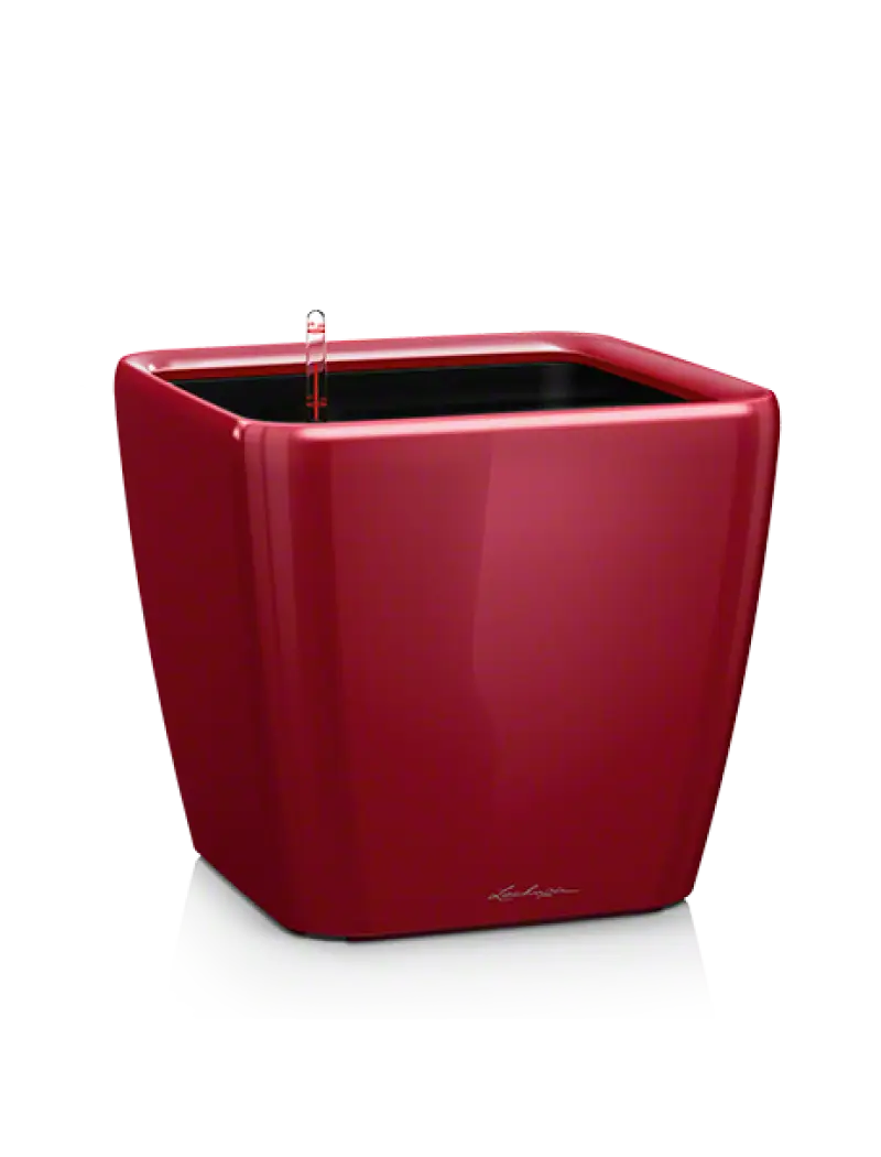 Red Glossy Planter Pot