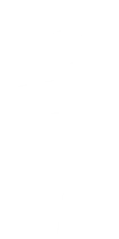 Trumpet Player Silhouette Illustration