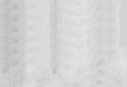 White Texture