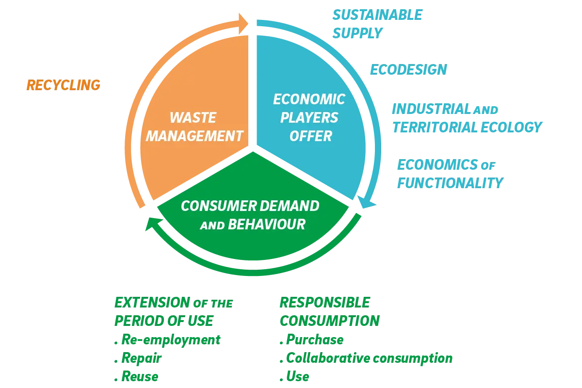 Circular Economy Concept Diagram