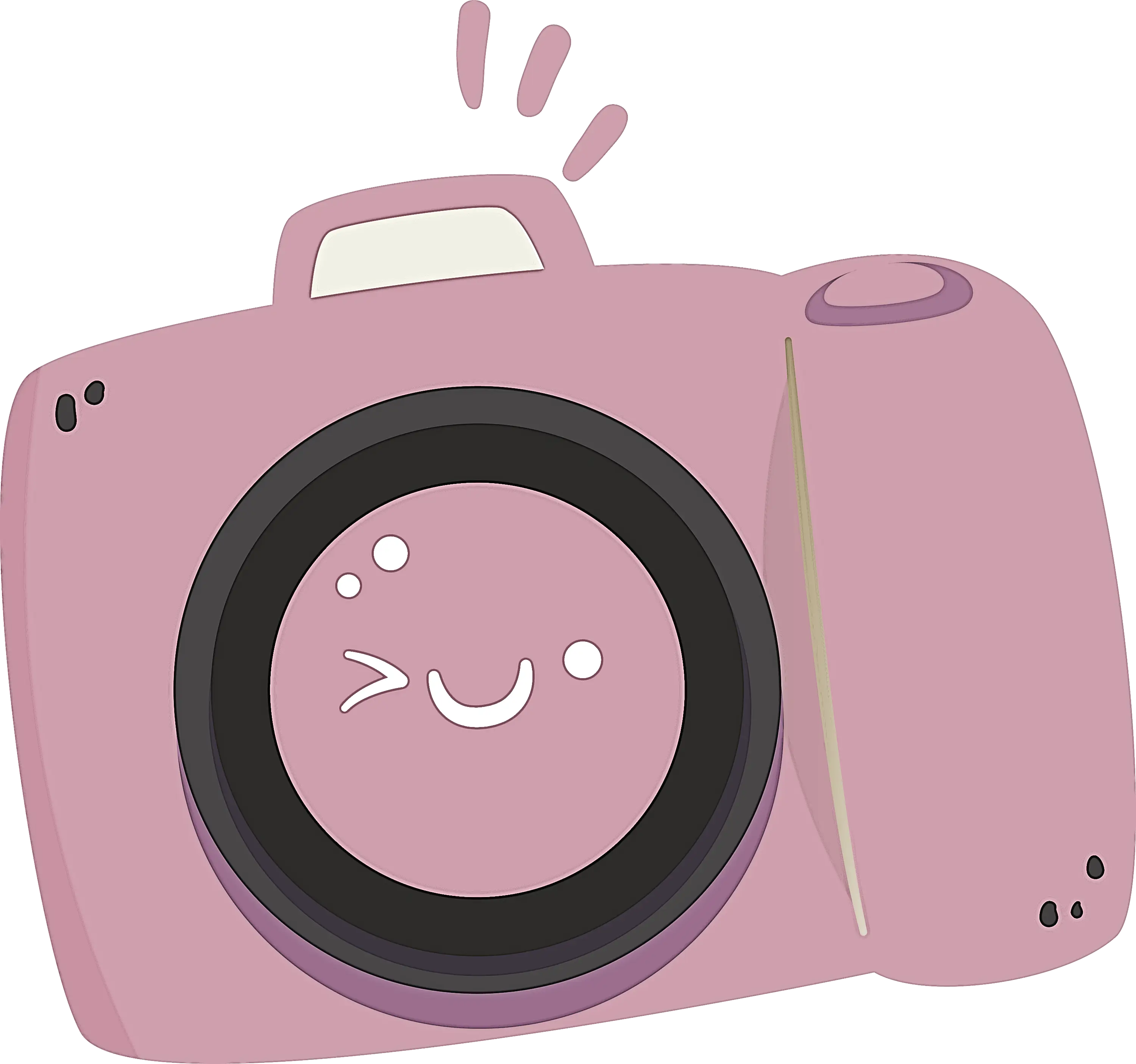 Cute Pink Cartoon Camera Illustration