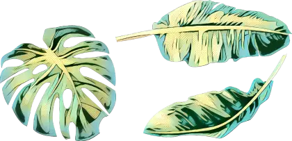 Tropical Leaves Illustration
