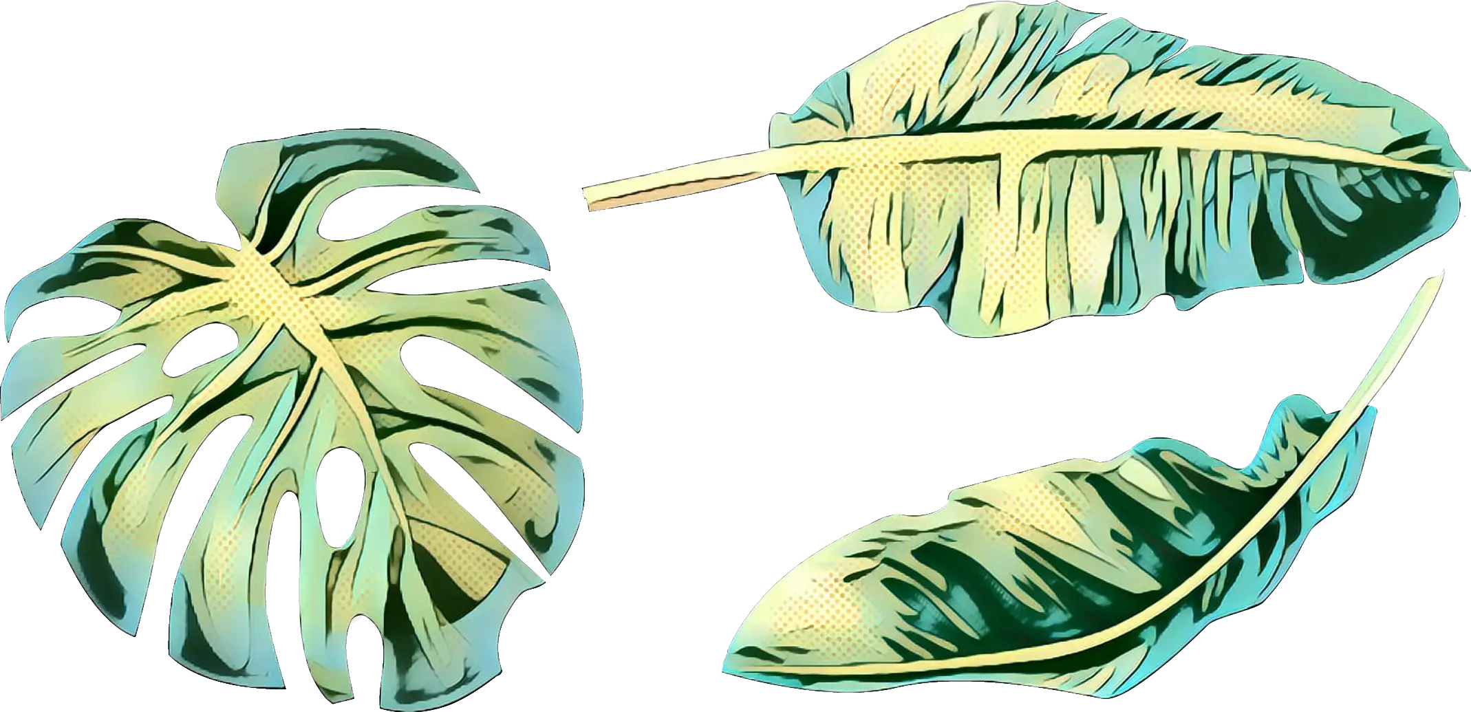 Tropical Leaves Illustration