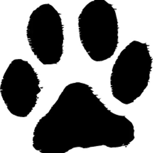 Black Paw Print Silhouette Symbol