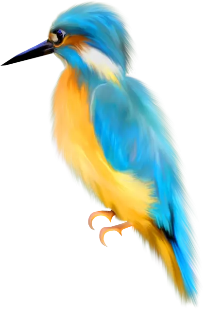 Vibrant Kingfisher Bird Illustration