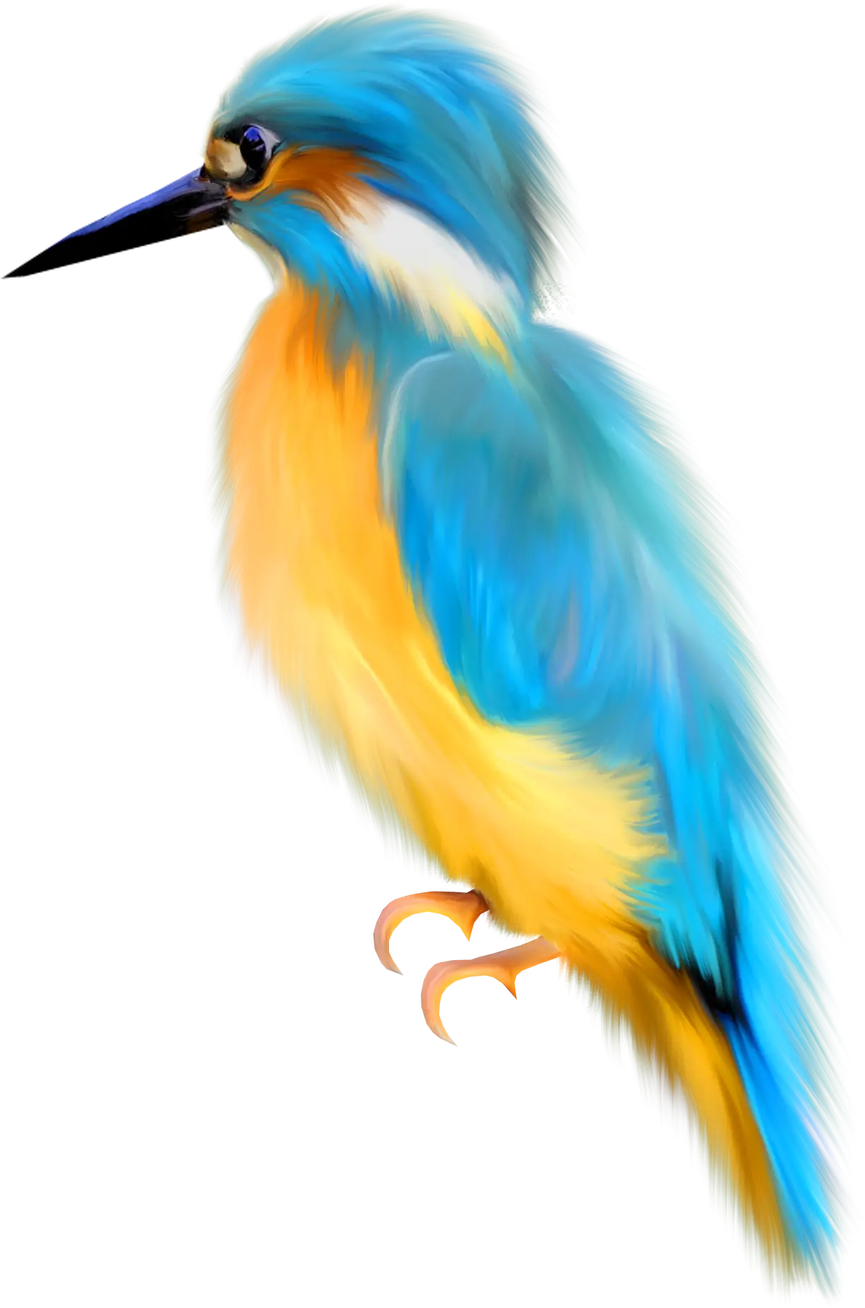 Vibrant Kingfisher Bird Illustration