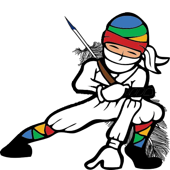 Colorful Cartoon Ninja