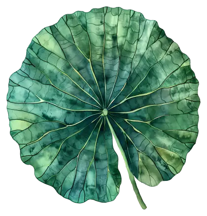 Watercolor Art of Lotus Leaf