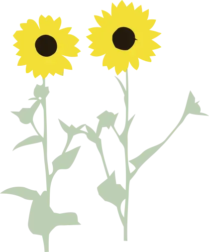 Pair of Sunflowers Illustration