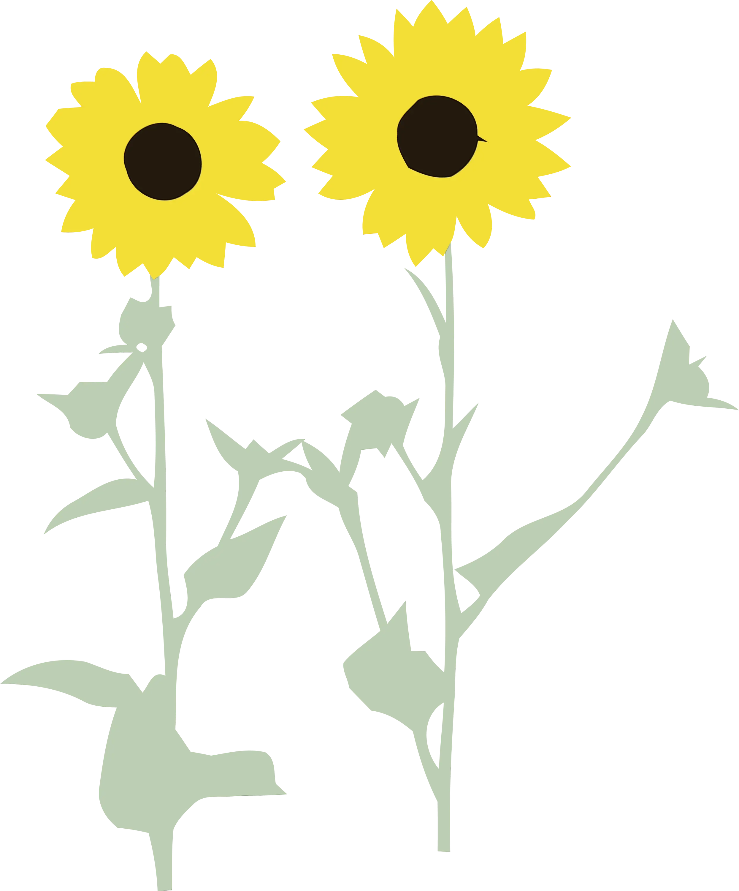 Pair of Sunflowers Illustration