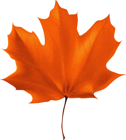 Bright Orange Maple Leaf Illustration