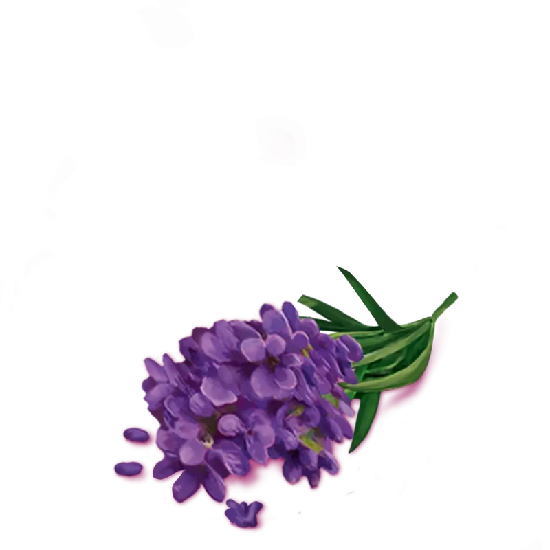 Purple Flowers with Green Stems Display