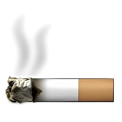 Burning Cigarette with Smoke