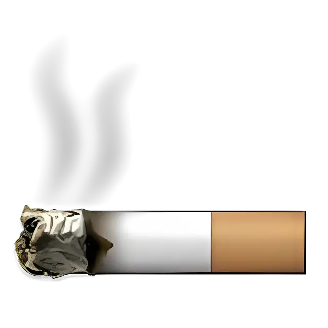 Burning Cigarette with Smoke