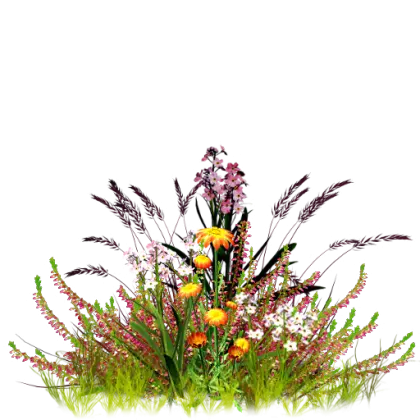 Wildflowers Bouquet