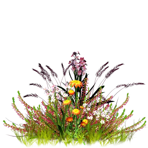 Wildflowers Bouquet