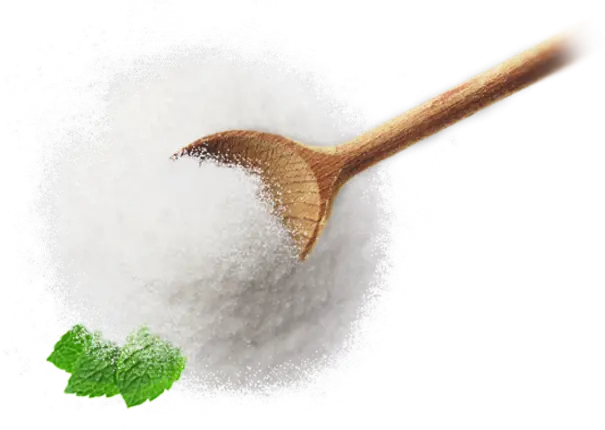 Wooden Spoon with White Sugar and Mint Leaf