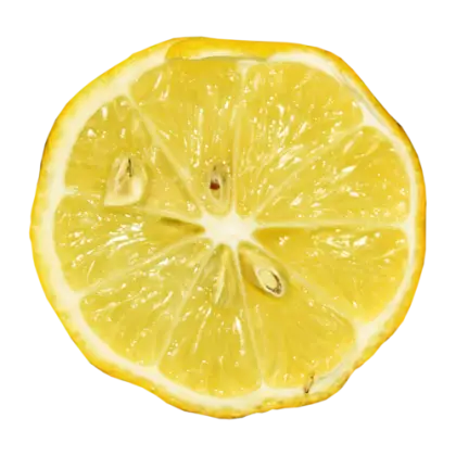 Fresh Yellow Lemon Slice