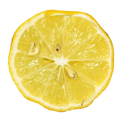 Fresh Yellow Lemon Slice
