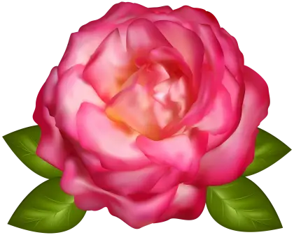 Realistic Pink Flower With Bright Green Leaves