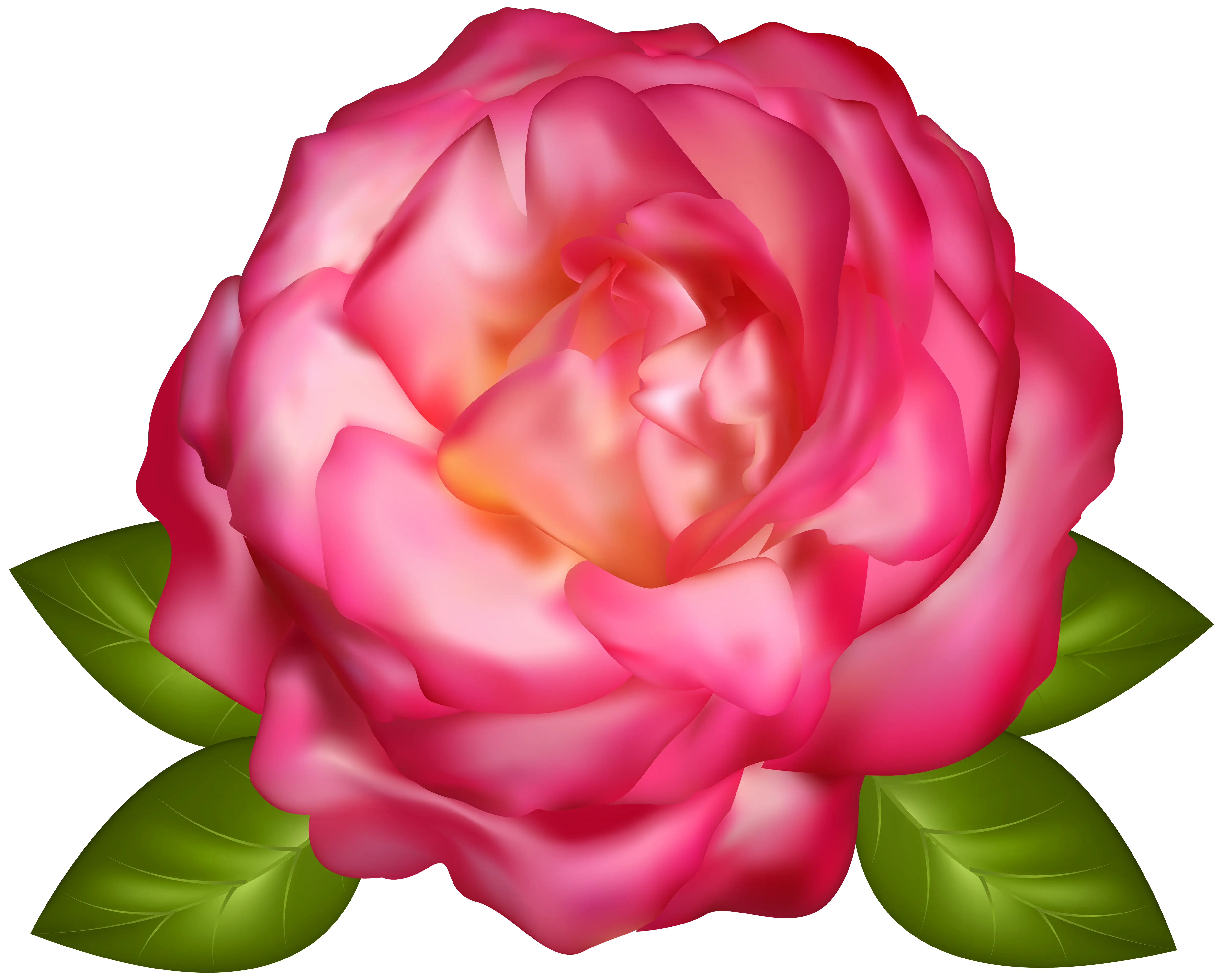 Realistic Pink Flower With Bright Green Leaves