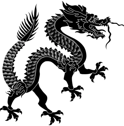 Black Dragon Silhouette Representing Strength and Mythology