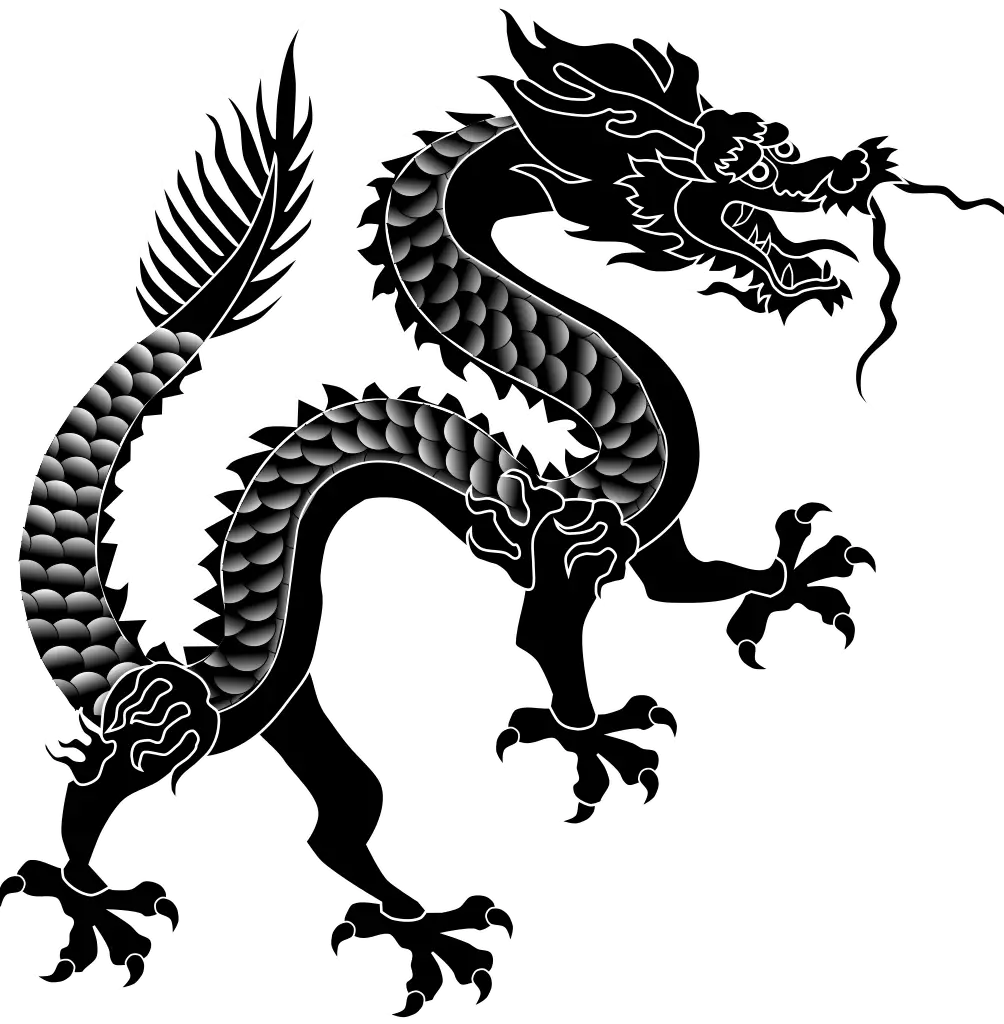 Black Dragon Silhouette Representing Strength and Mythology