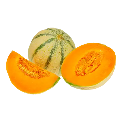 Cantaloupe Cut into Slices