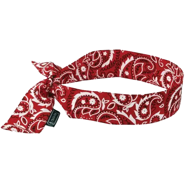 Red Paisley Bandana