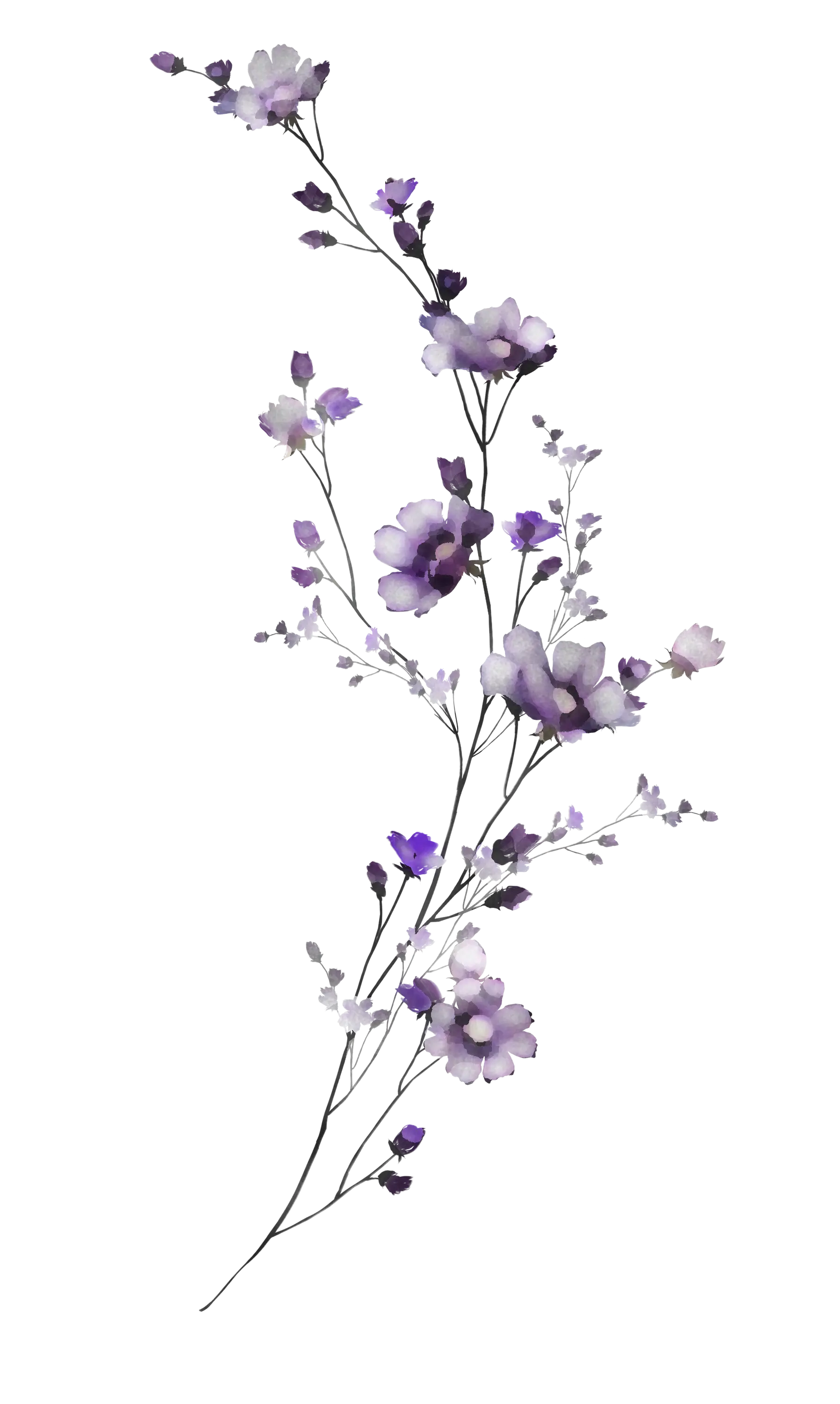 Branch with Purple Flowers