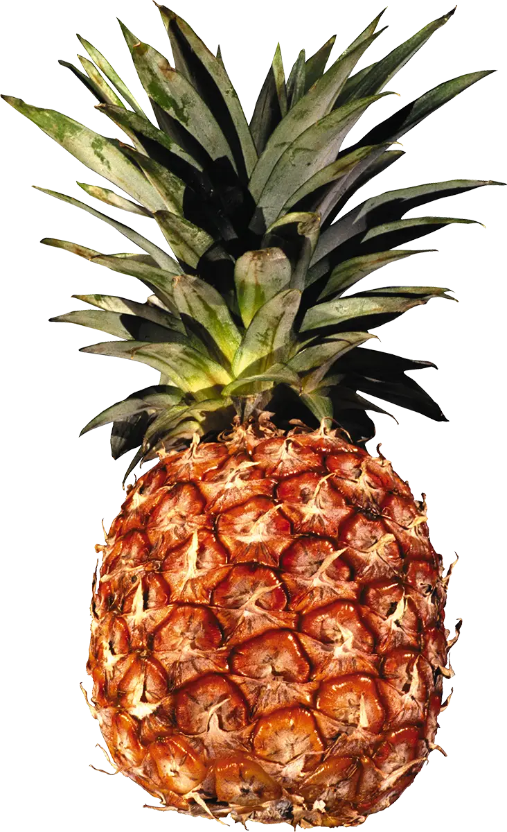 Fresh Ripe Pineapple with Green Leaves
