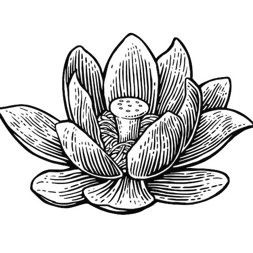Black and White Lotus Flower Illustration