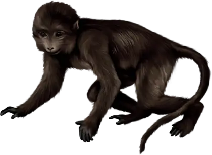 Brown Monkey In Motion