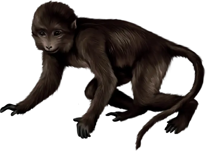Brown Monkey In Motion