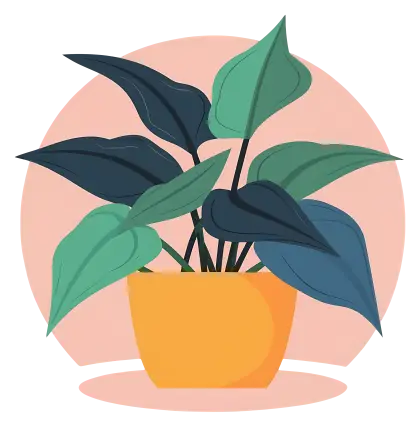 Potted Green Plant for Home Decor