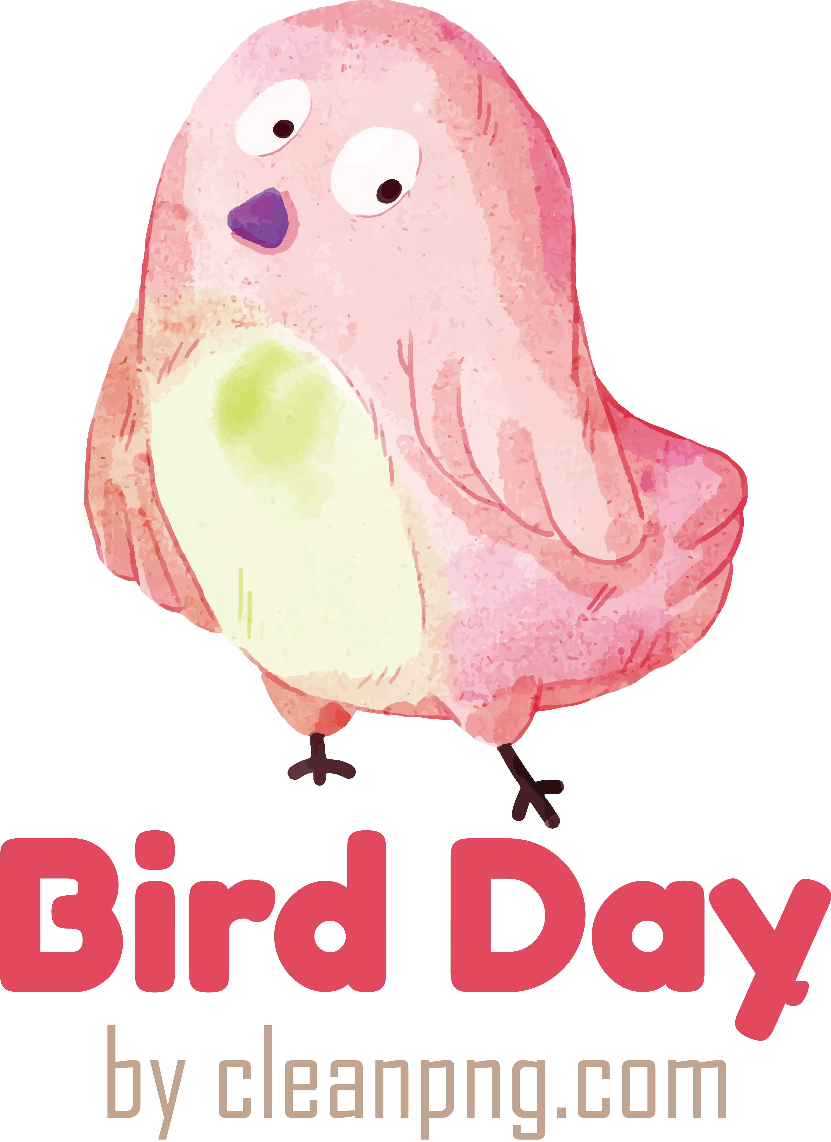 Adorable Pink Bird Illustration for Bird Day