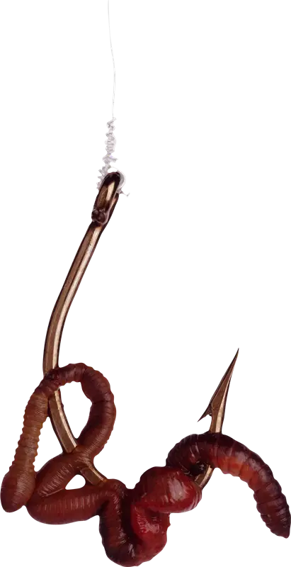 Worm on Fishing Hook