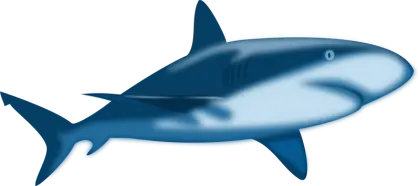 Blue Shark Illustration in Aquatic Theme
