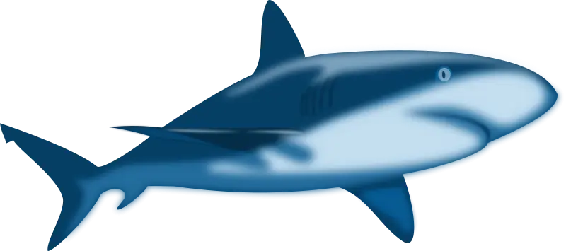 Blue Shark Illustration in Aquatic Theme