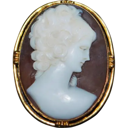 Vintage Cameo Brooch